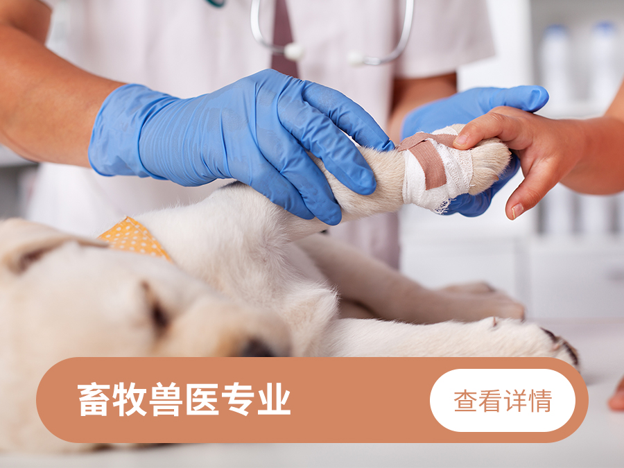 畜牧兽医专业