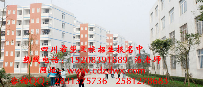 成都卫生学校