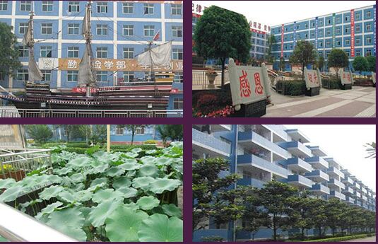 四川省南充卫生学校,成都卫校