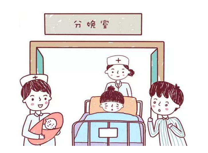 2016年护士资格考试妊娠分娩解析1