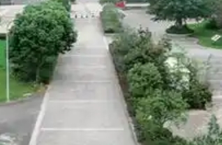 单招网络课直播是什么