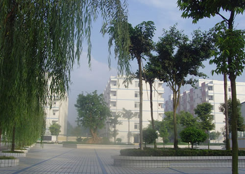 成都卫校学校环境